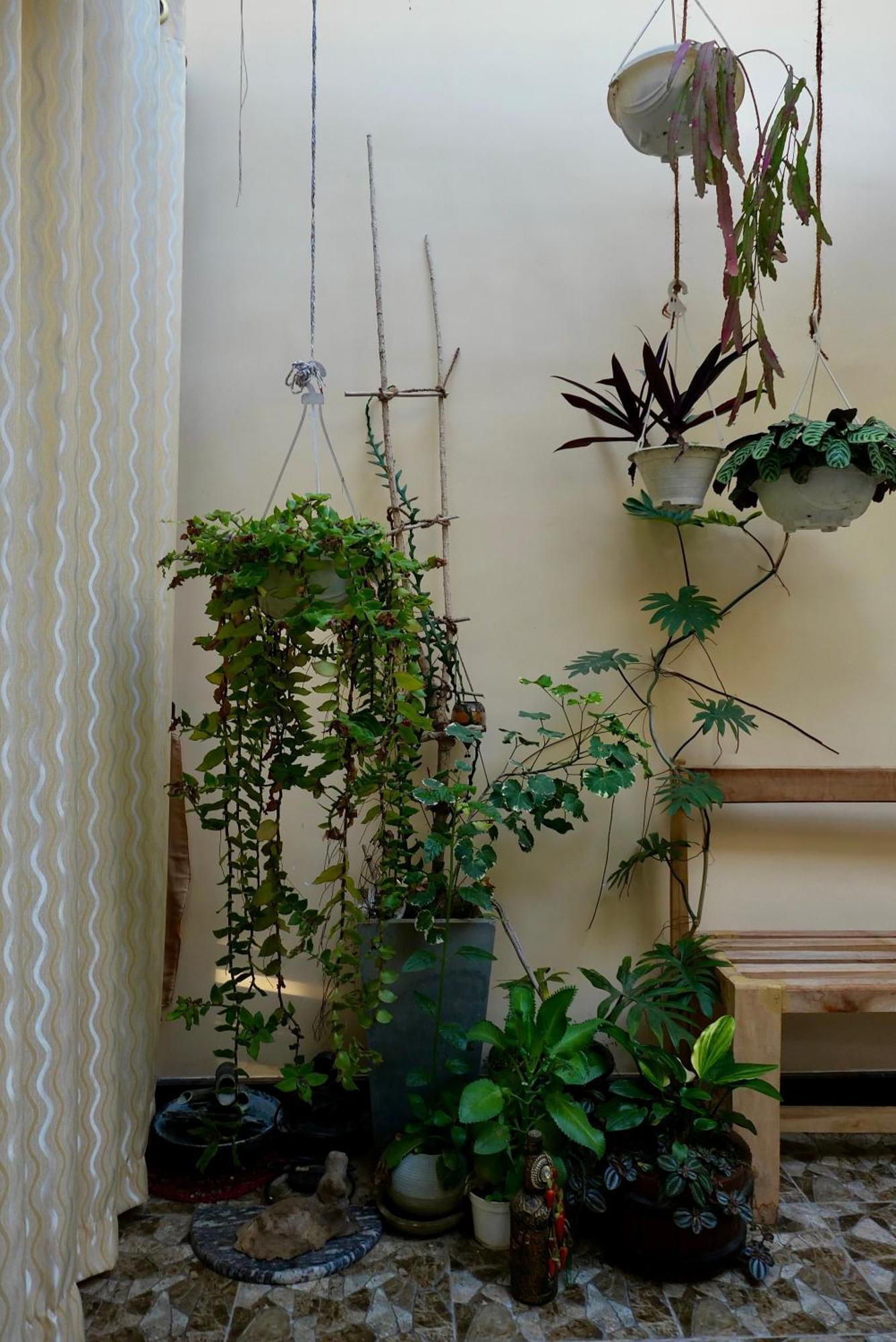 The Bliss Hostel קנדי מראה חיצוני תמונה